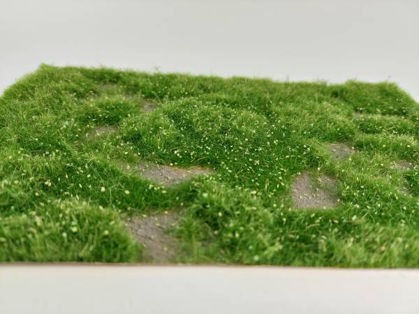 Wildwuchs niedrig, Frühling